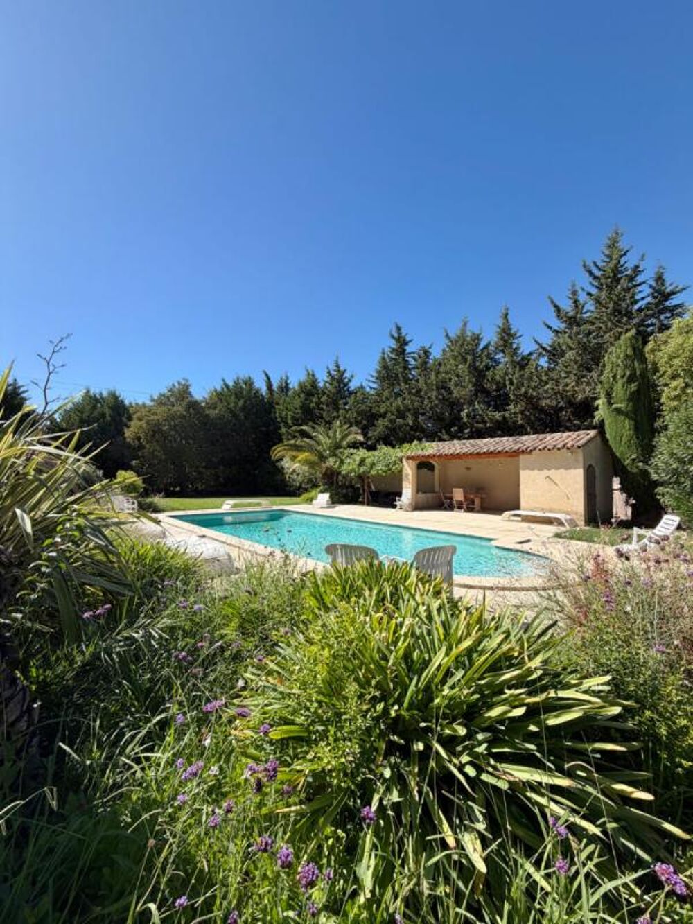 Vente Maison Mas de caractère - 7 pièces - Piscine, pool house et jardin paysager de 5 000 m² Chateaurenard
