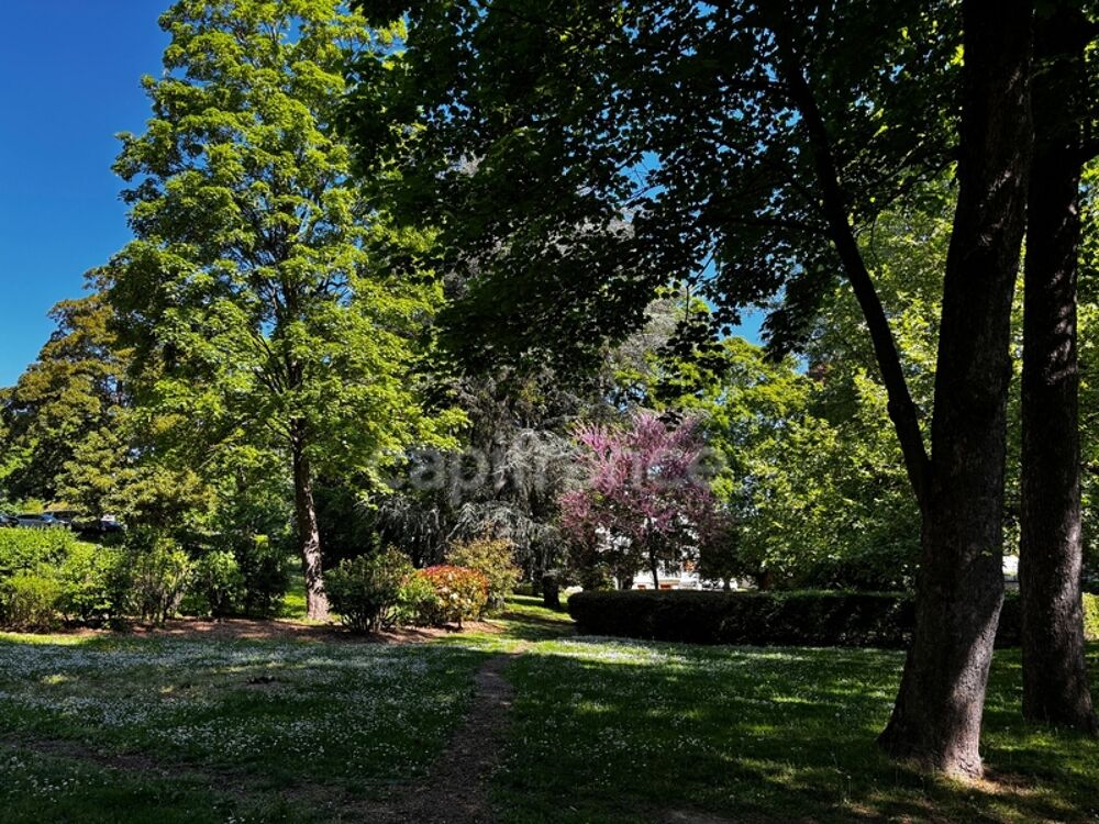 � vendre  Appartement Meudon (92190)