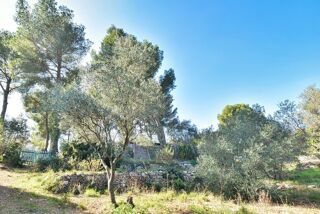  Terrain à vendre 3865 m²