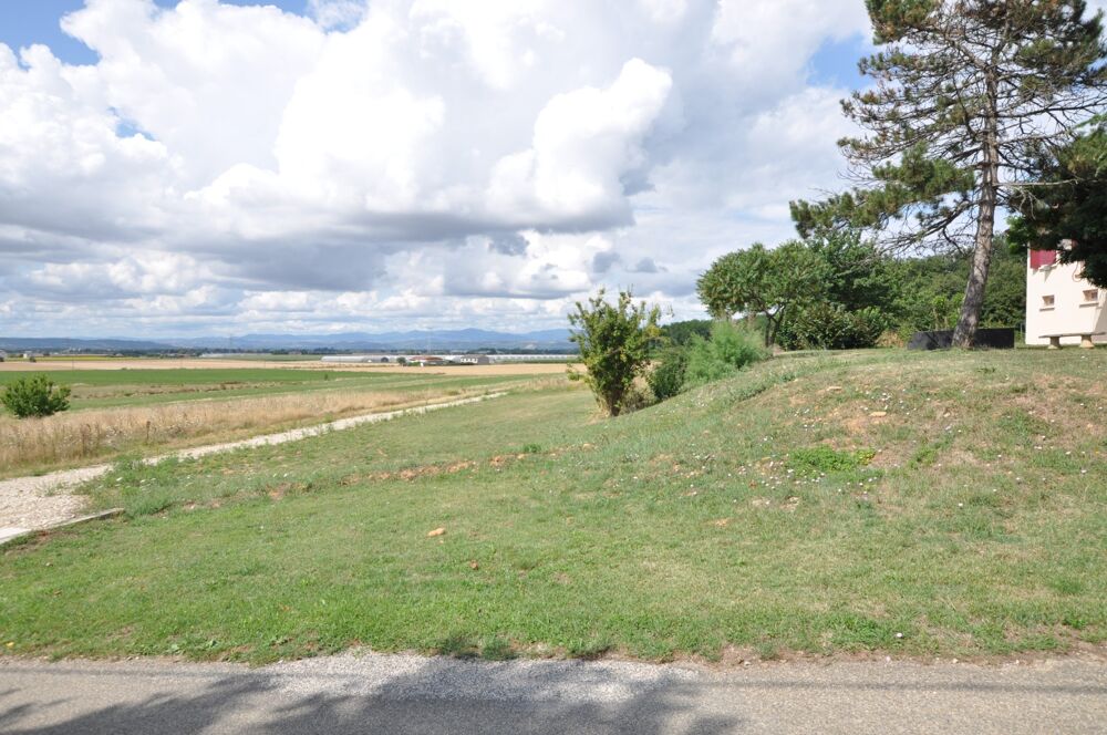 Vente Terrain Terrain 1000 m²  PACT (38) Pact