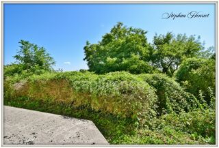  Maison � vendre 10 pi�ces 228 m�