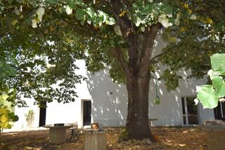  Moulin � vendre 7 pi�ces 330 m� Castelsarrasin