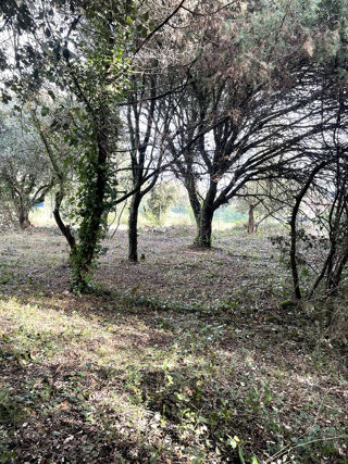  Terrain à vendre 400 m²
