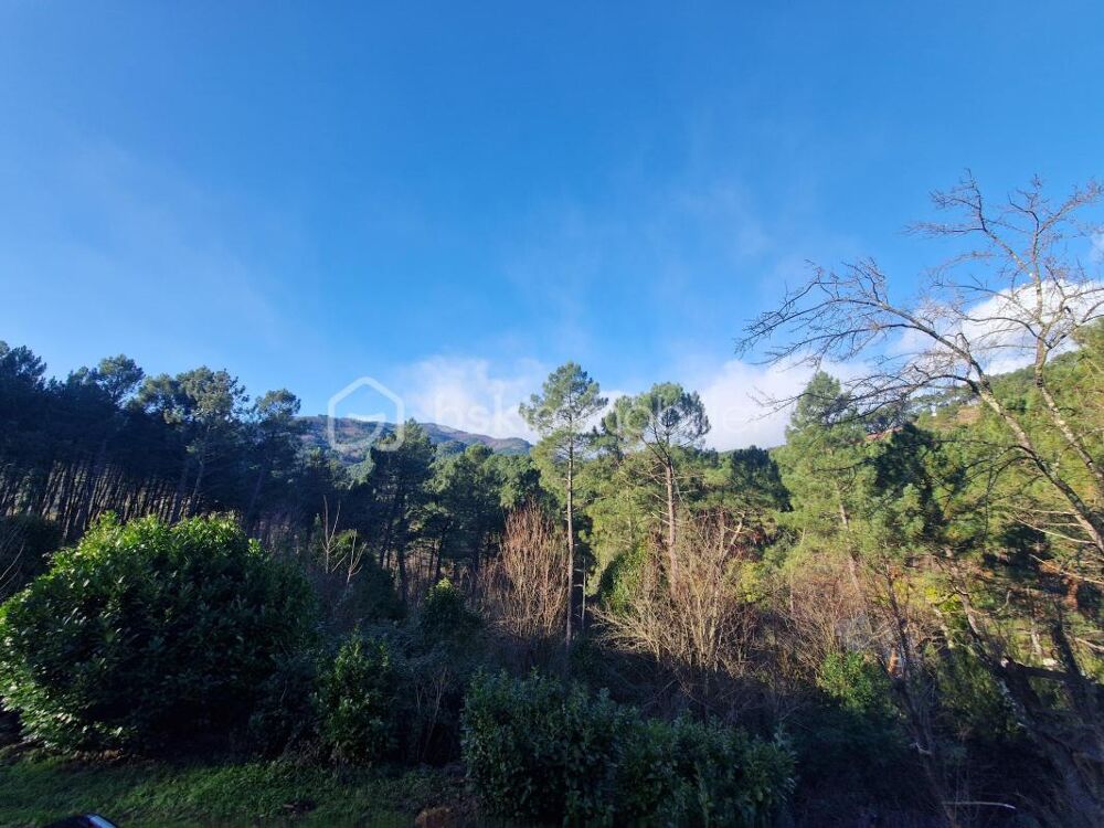 Vente Immeuble Spécial investisseurs!! Villa de 214m² sur 2330m² de terrain! 5 logements dont 4 loués Sainte cecile d andorge