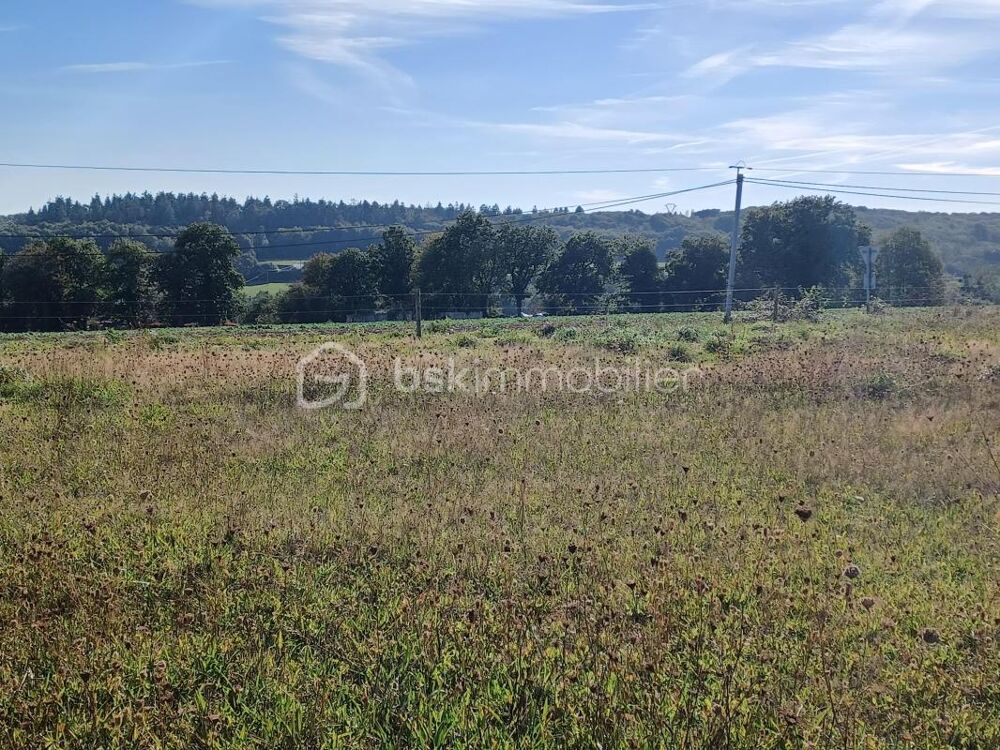 Vente Terrain Terrain constructible de 1 000 m2 Saint georges buttavent