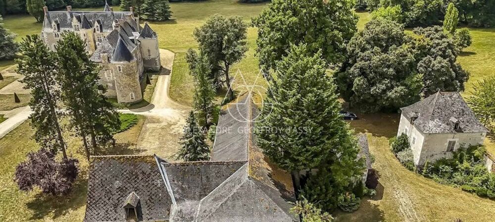 � vendre  Propri�t�/ch�teau Ch�teau-la-Valli�re (37330)