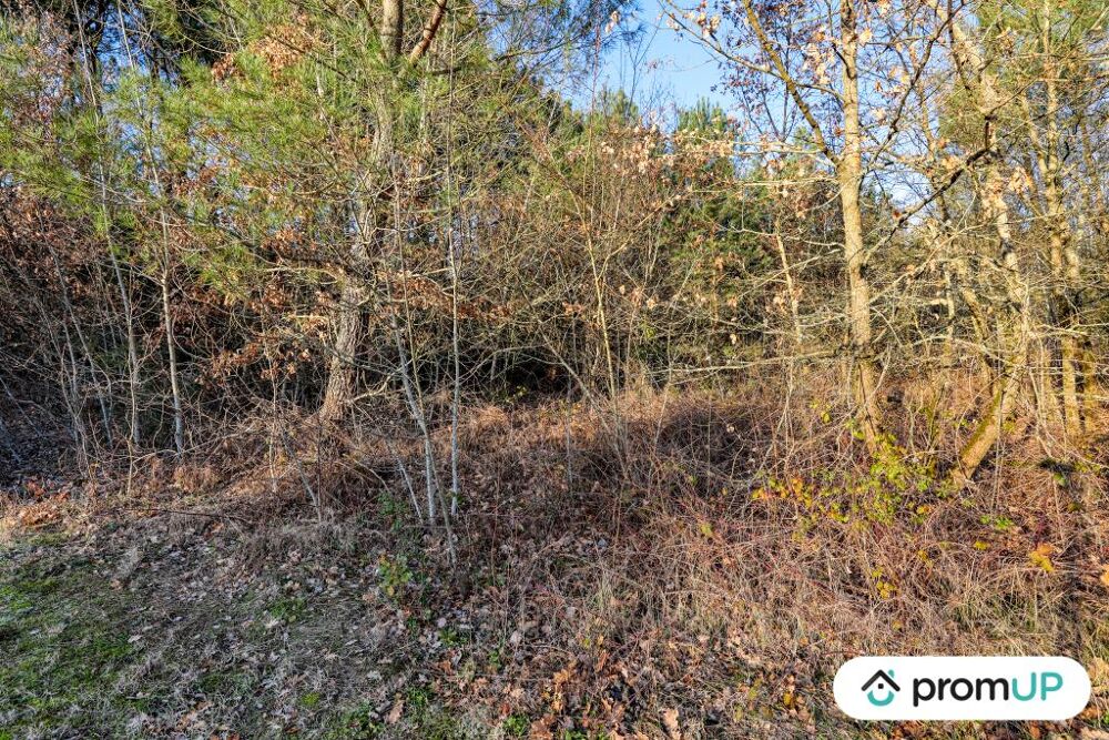 Vente Terrain Fort de 1595 m2  CHTILLON-SUR-CHER Chatillon sur cher