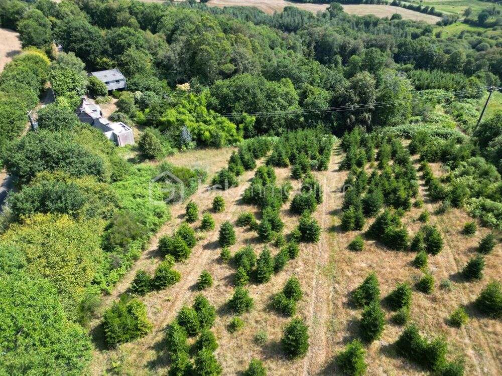 Propriété de 4 chambres isolée en pleine campagne