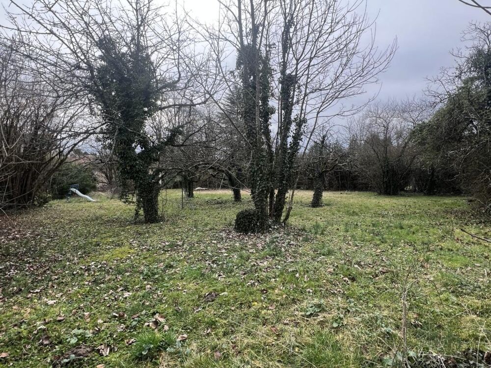 Vente Terrain Terrain Tassin la demi lune