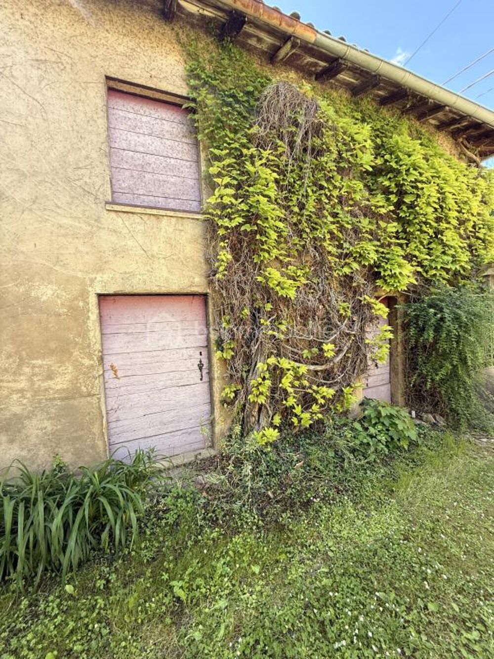 à vendre  Maison Chasselay (69380)