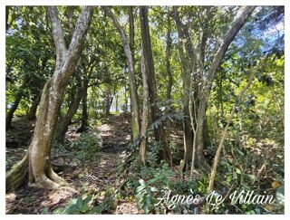  Terrain � vendre 3123 m�