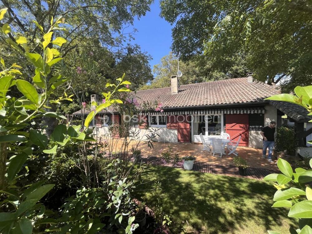 Vente Propriété/Château Ensemble de 2 maisons avec piscine sur terrain de 5000 m² Saint vincent de tyrosse