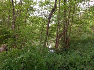  Terrain  vendre 405 m