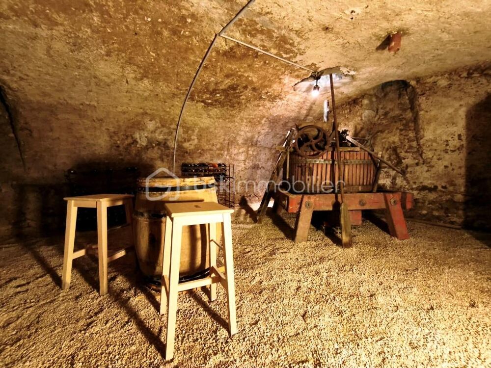 à vendre  Propriété/château Olivet (45160)