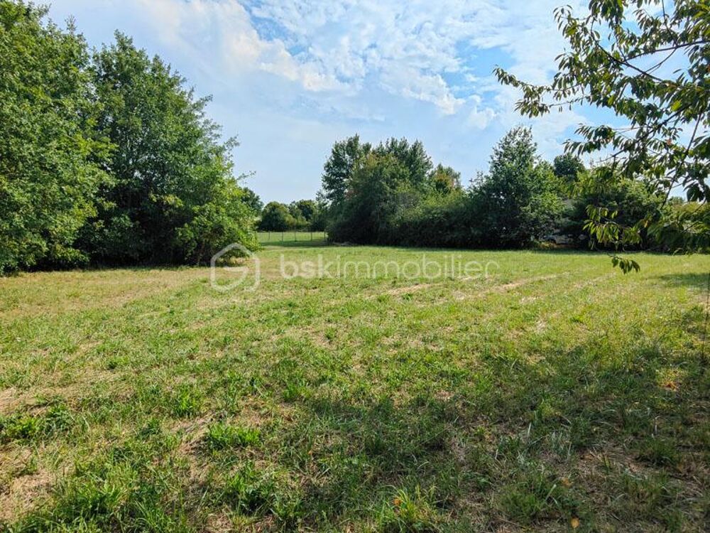 Vente Terrain Terrain constructible 2105 m² au calme – Belle opportunité ! Caunay