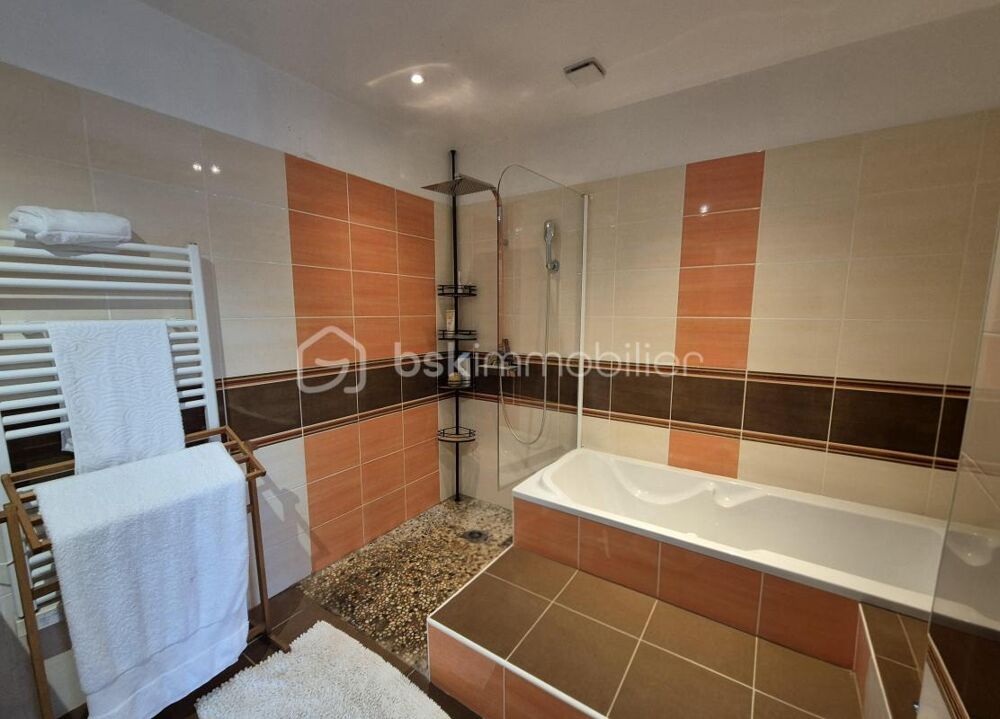 � vendre  Propri�t�/ch�teau Saubusse (40180)