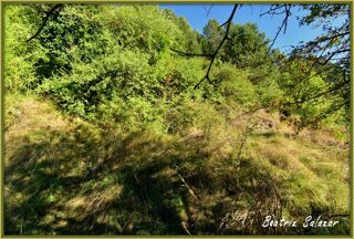  Terrain  vendre 3494 m