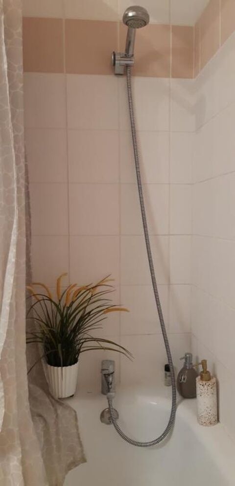  Appartement � louer 1 pi�ce 11 m�