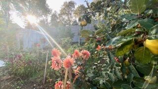  Maison  vendre 7 pices 145 m