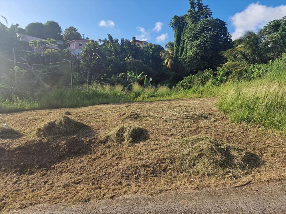 Vente Terrain Terrain-Schoelcher-Terreville Schoelcher