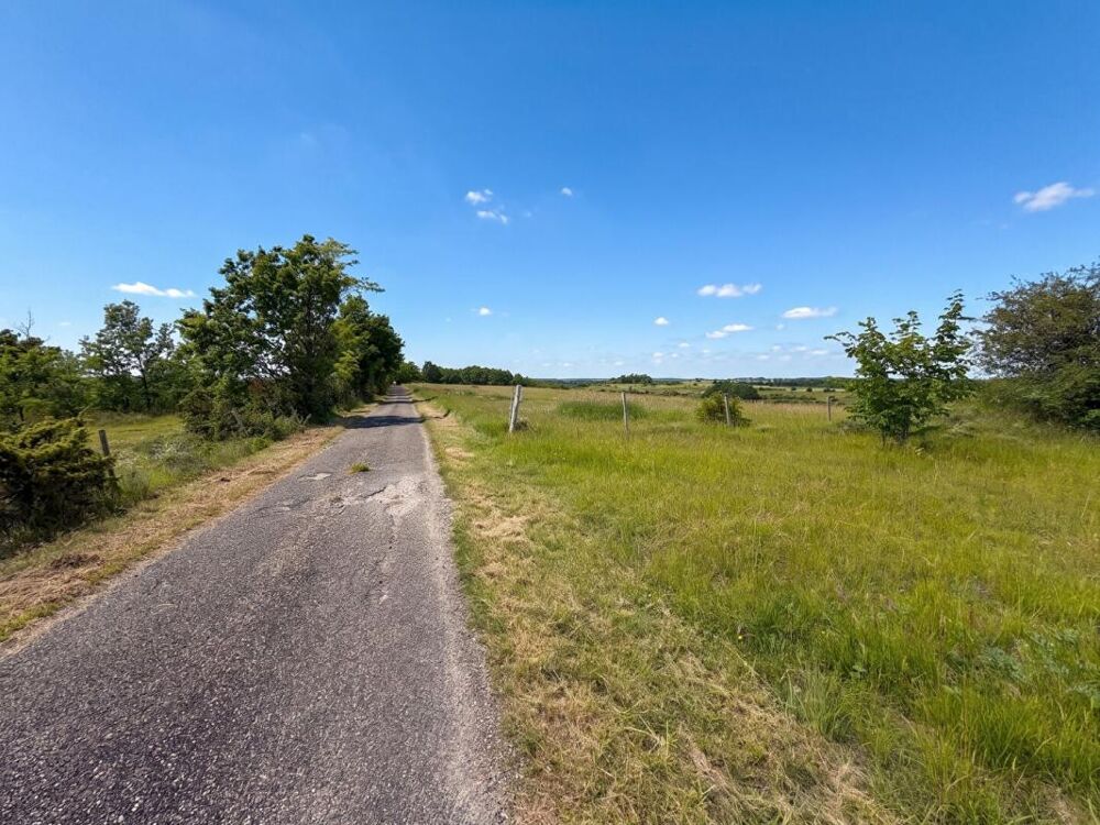 Vente Maison Sauveterre Maison 5 pièces sur près de 23 ha de terrain avec dépendances Sauveterre