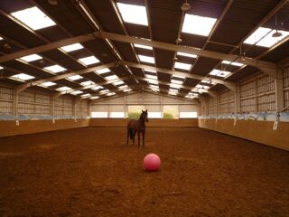  Propri�t�/ch�teau � vendre 15 + pi�ces 500 m�