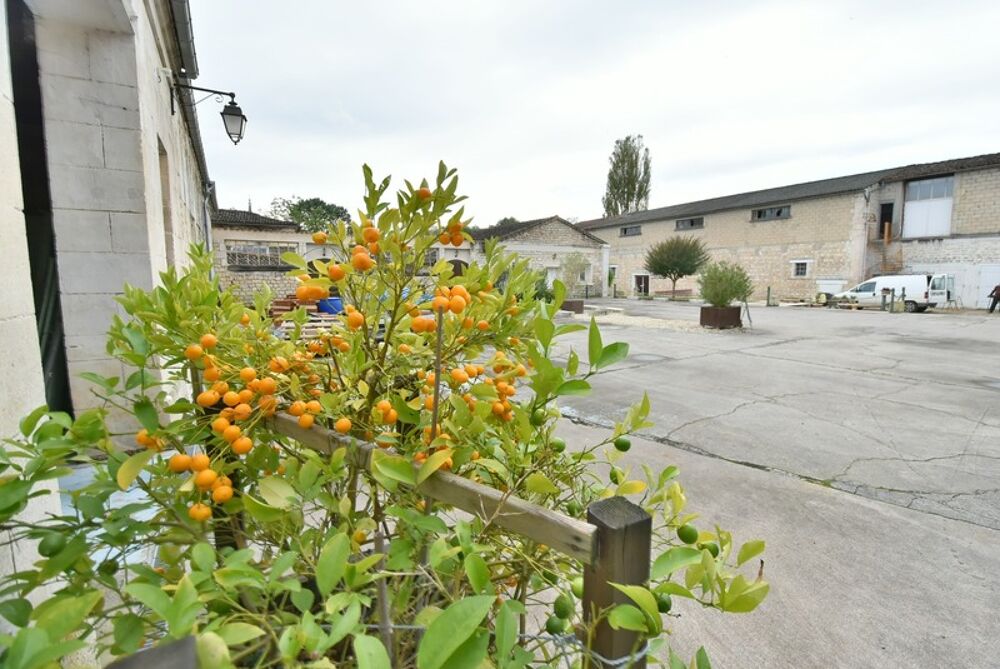 Vente Immeuble Dpt Charente (16), à vendre PROCHE ANGOULEME OUEST immeuble de 2500 m2 pour stockage Angouleme
