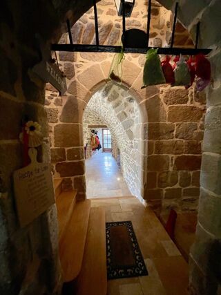  Proprit/chteau  vendre 10 pices 318 m