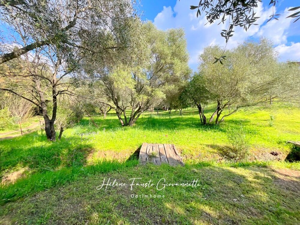 Villa 6 pièces avec piscine - Terrain 1,7 hectare - OLETTA