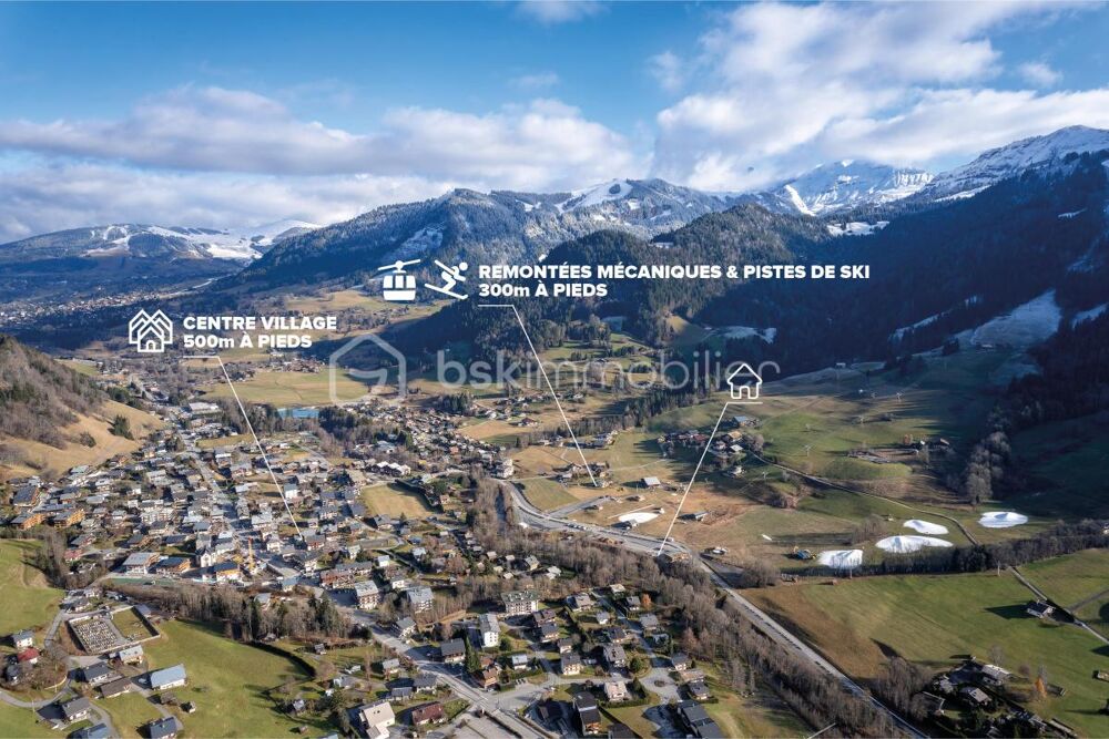  vendre  Chalet Praz-sur-Arly (74120)