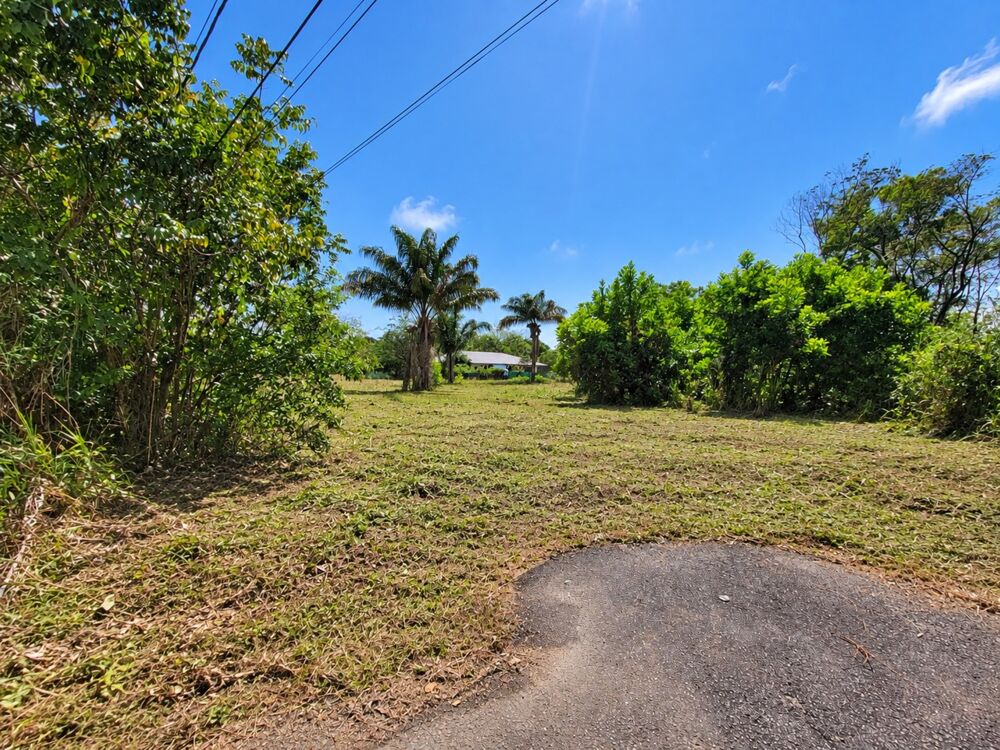 Vente Terrain Terrain constructible de 1010 m² à vendre à Sainte Agathe - MACOURIA (973) Macouria