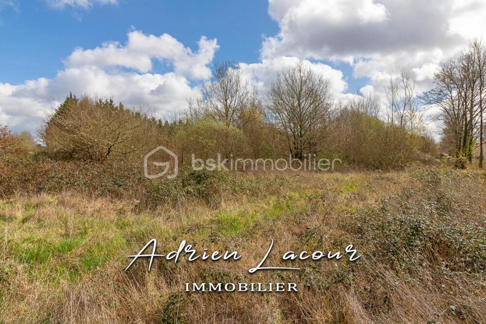 Vente Terrain TERRAIN EN ZONE U ET AU Pruniers en sologne