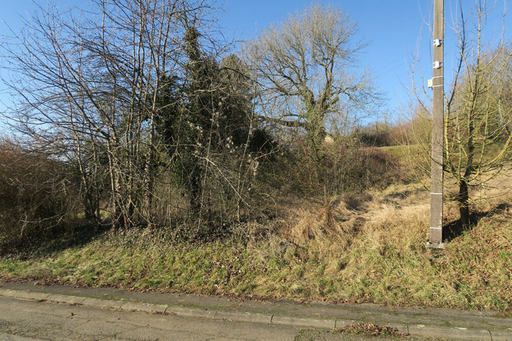 Vente Terrain BEAU TERRAIN DE 30 ARES Pierrepont