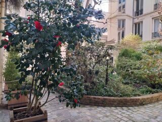  Appartement à louer 1 pièce 24 m²