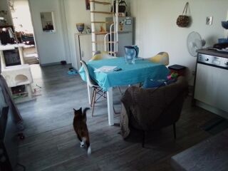  Maison  louer 3 pices 65 m
