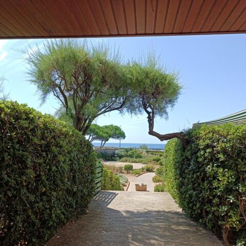  Appartement � louer 1 pi�ce 25 m�