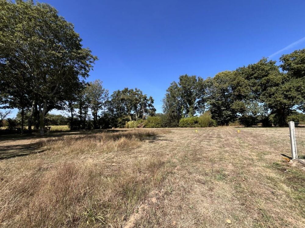 Vente Terrain LE TRÉVOUX – TERRAIN À BÂTIR DE 983 M² Le trevoux