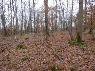  Terrain � vendre 8257 m�