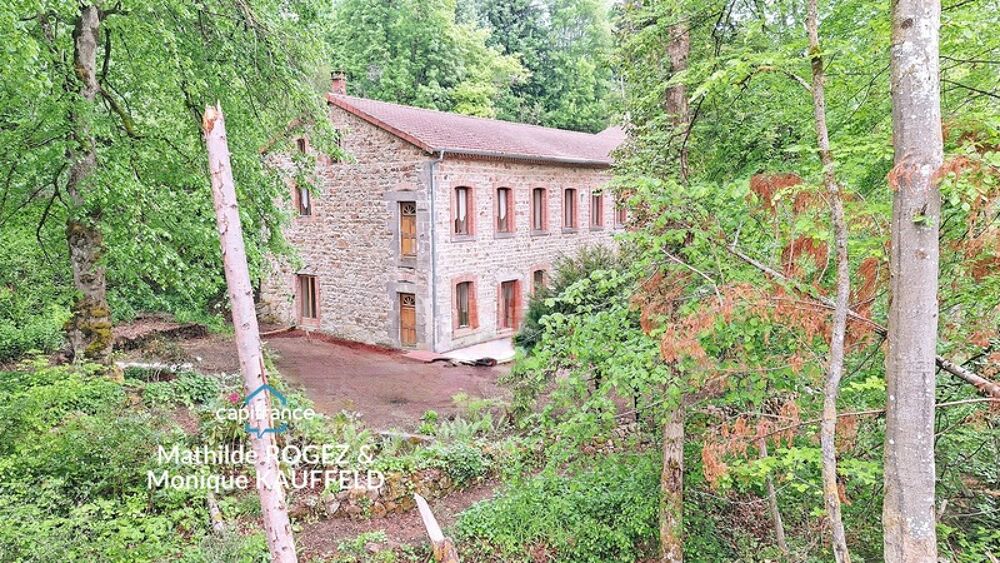 Grande demeure de charme + gîte + grand terrain - Tours-sur-Meymont