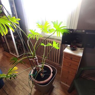  Maison � vendre 5 pi�ces 184 m�