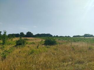  Terrain à vendre 56000 m²