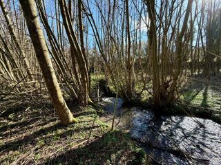  Terrain � vendre 13000 m�