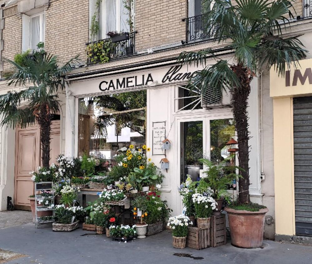   Commerces/Negoce 