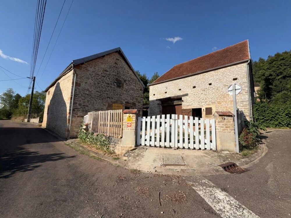 Vente Maison Maison de caractère 98 m² – 2 chambres – nombreuses dépendances – Villemervry (52160) Villemervry