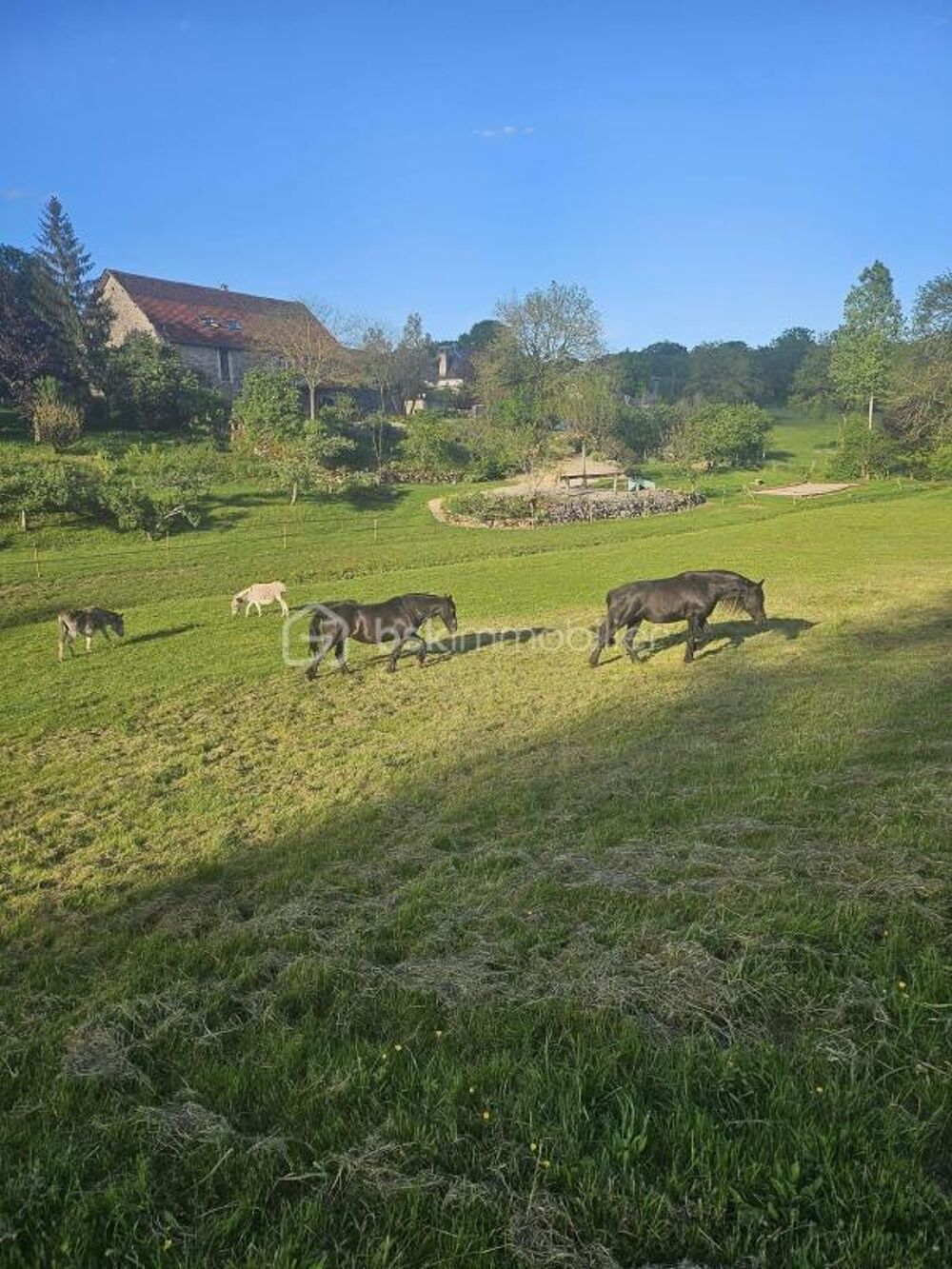 � vendre  Maison Padirac (46500)