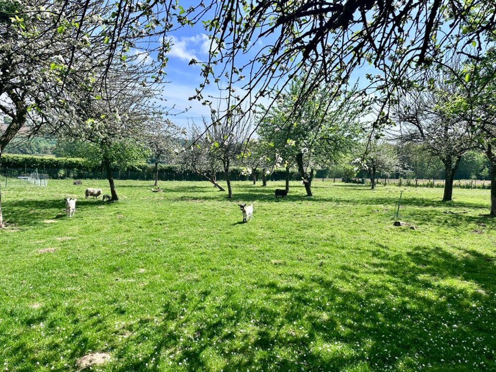 Vente Maison Maison en pierre de 244 m2 habitables avec chambres d'hôtes et 8500 m2 terrain à vendre CHAMP DU BOULT (14) Champ du boult