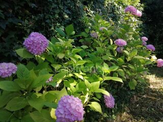  Maison  vendre 7 pices 150 m