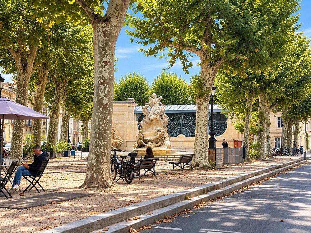 Vente Appartement Bordeaux Centre ville, 2 pièces 52 m2 avec jardin 50m2 et cave Bordeaux