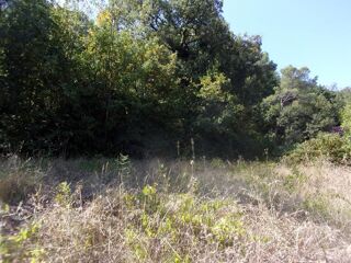  Terrain � vendre 2354 m�