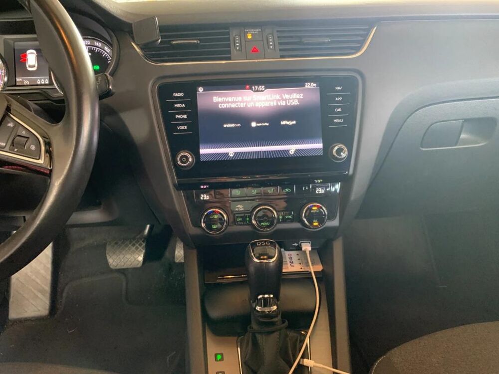 Octavia 2.0 TDI 150 ch SCR FAP DSG7 Edition 2019 occasion 56120 Les Forges De Lanouee